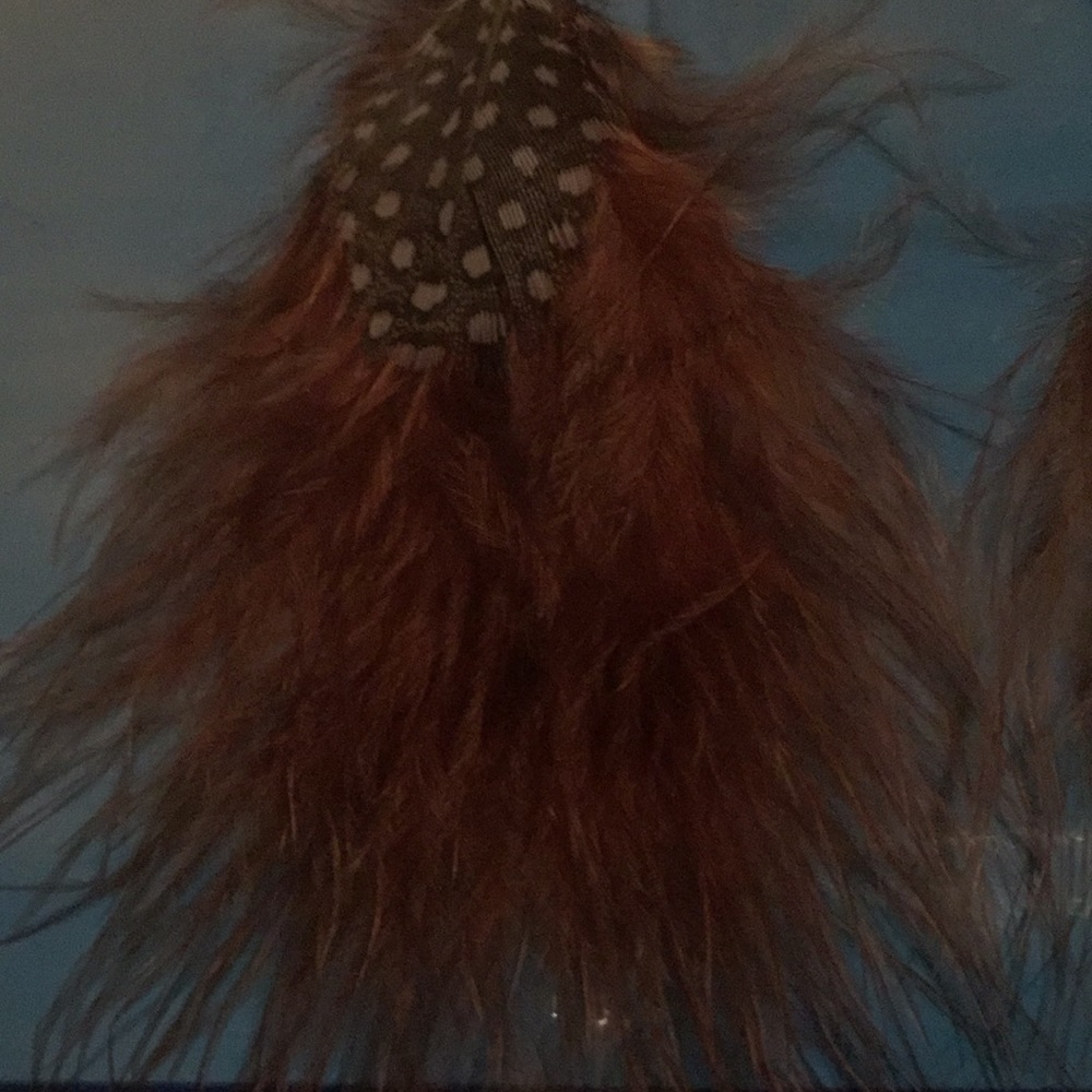Feather Earrings - Picture 8 of 13